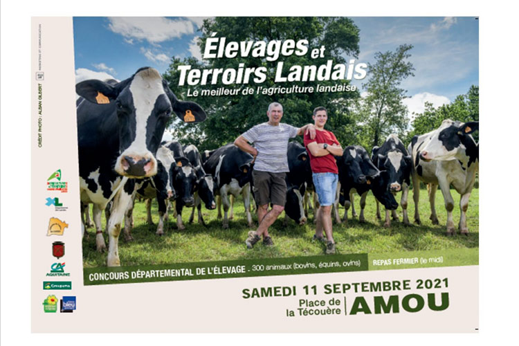 Concours départemental élevage quoi faire landes