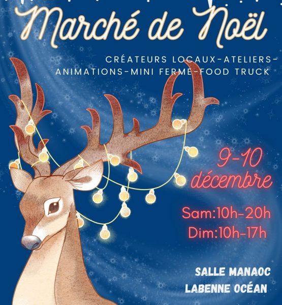 Marche-de-noel-labenne-