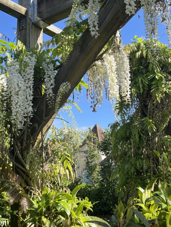 Jardin Botanique - Que faire dans les Landes