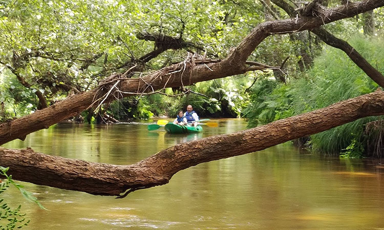 loisirs-canoë-base-nautique-leyre-landes-commensacq-mexico