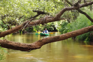 loisirs-canoë-base-nautique-leyre-landes-commensacq-mexico