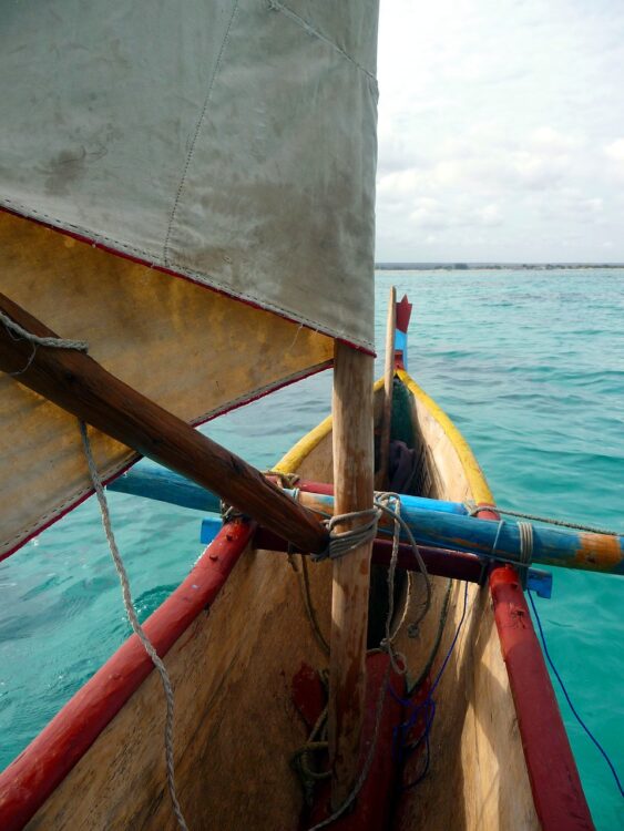 Pirogue - Que faire dans les Landes