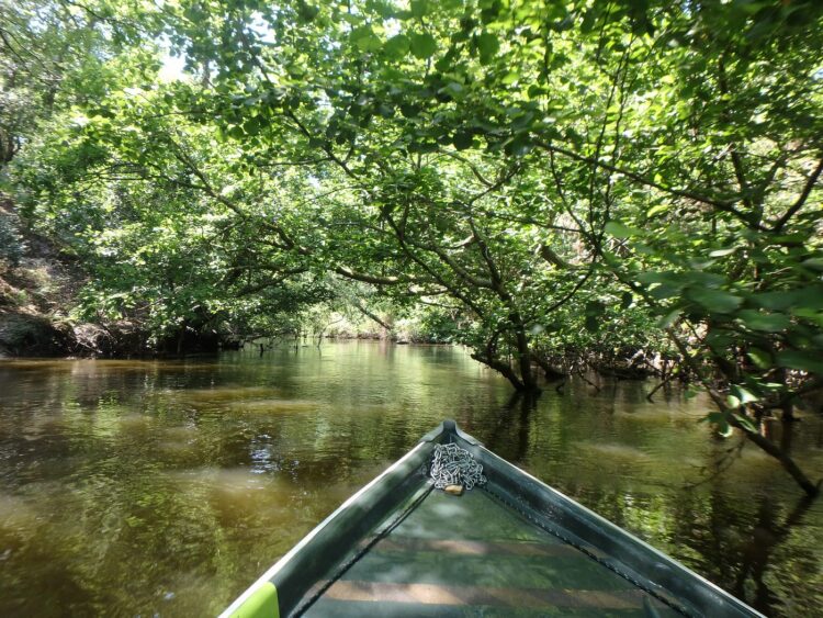 Réserve Naturelle du Courant d'Huchet - Que faire dans les Landes