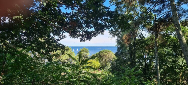 Réserve Naturelle de l'Étang de Cazaux - Que faire dans les  Landes