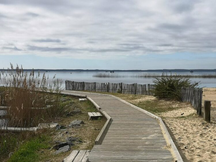 Lac de Léon - Que faire dans les Landes