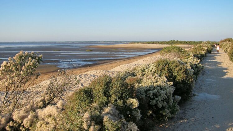 Landes de Gascogne - Que faire dans les Landes