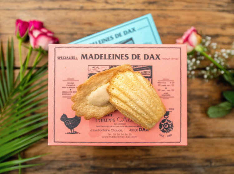 madeleine-cazelle-dax2