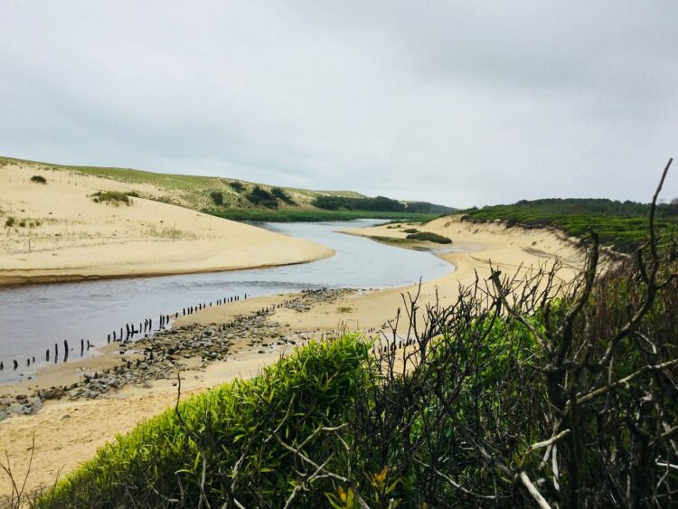 Réserve Naturelle du Courant d'Huchet - Que faire dans les Landes