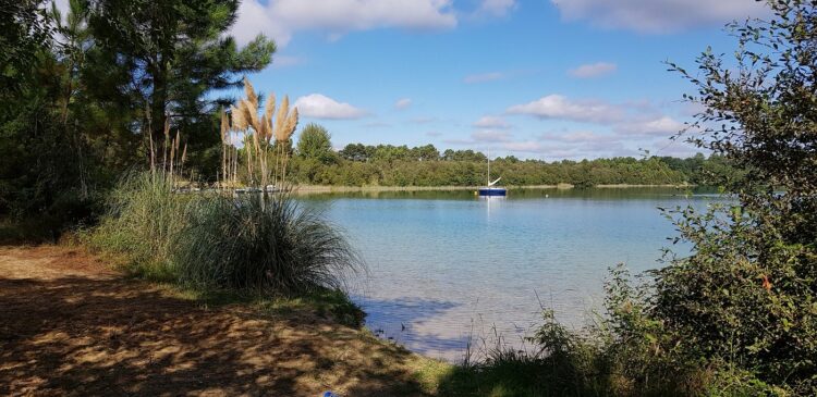 Parc d'Arjuzanx - Que faire dans les Landes