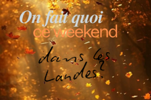 idées-sorties-weekend-Landes