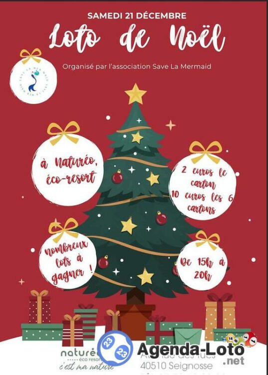 loto-noel-save-mermaid-Seignosse-40