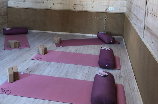 salle-de-yoga-evjf-landes