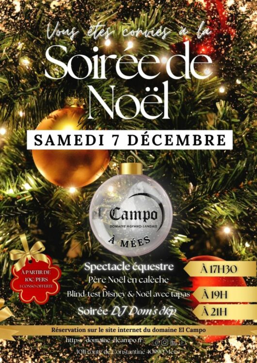 soiree-de-noel-Mées