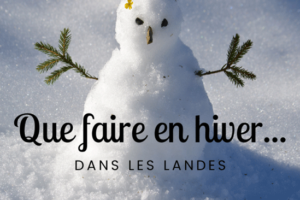 que-faire-en-hiver-dans-les-landes