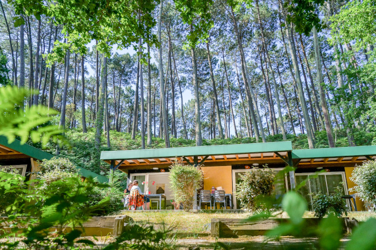 bungalow du village vacances Les Chênes de Léon