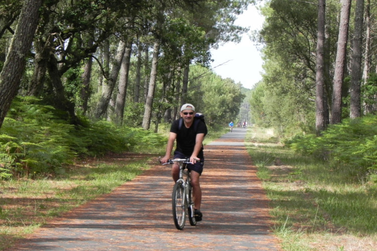 Homme à vélo sur la Velodyssée dans les Landes