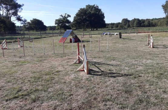 parcours-agility-magescq