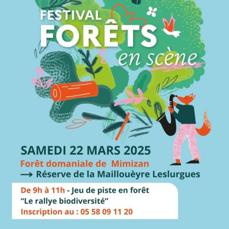 Festival - Que faire dans les Landes